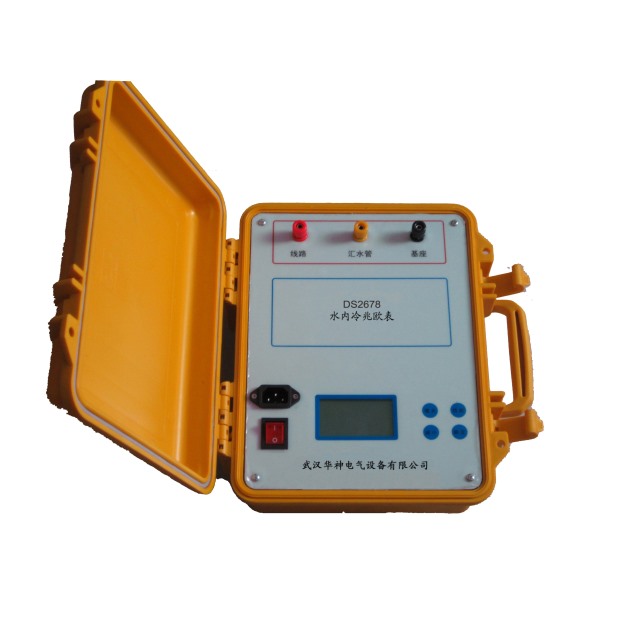 DS2678 水內(nèi)冷發(fā)電機(jī)絕緣電阻測(cè)試儀